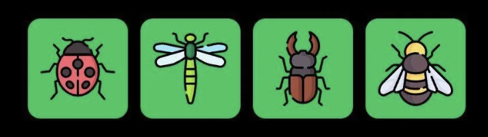 FLIES Daily Combo 2 May 2025
